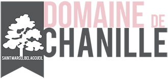 Logo du Domaine de Chanille : lieu de séminaire en isère