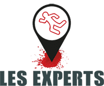 Logo Experts - Team building Murder Party en Rhône-Alpes Auvergne Bourgogne