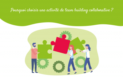Pourquoi choisir une activité de team building collaborative ?