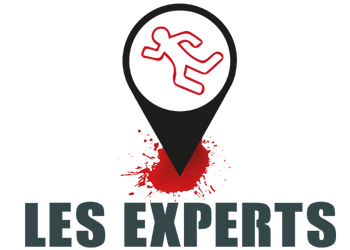 logo les experts