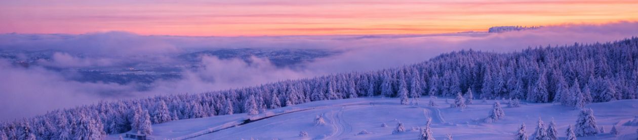 SEMNOZ CENTRALE