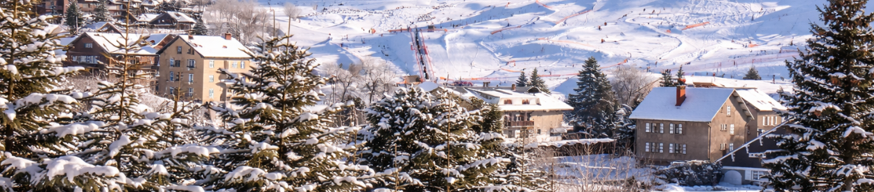 VILLARD DE LANS CENTRALE