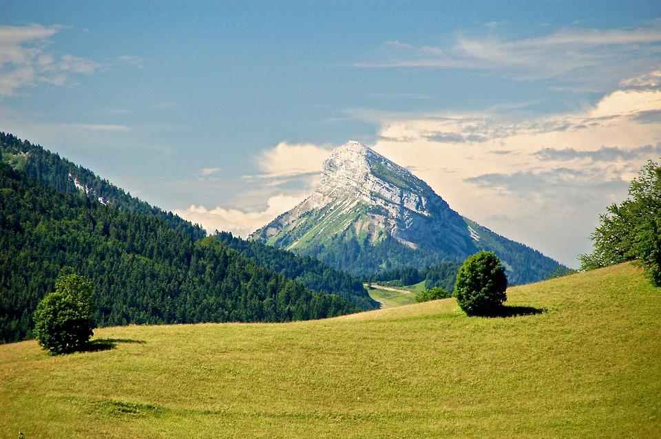 Chartreuse 2 image 2