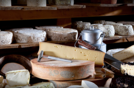 Team Building à Annecy 4 Annecy 4